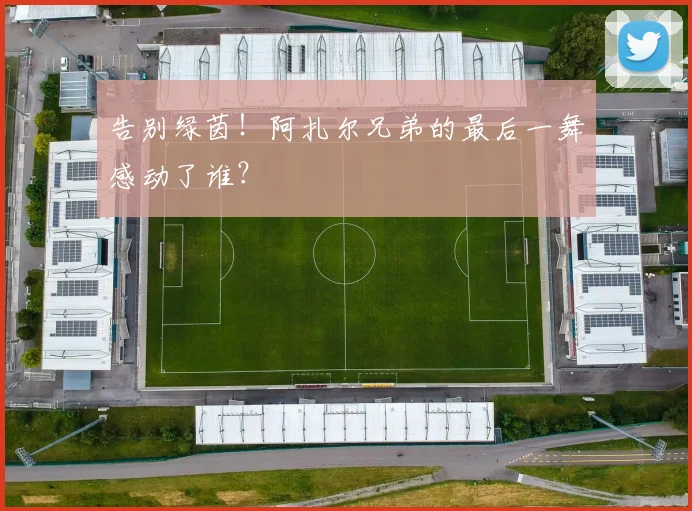 告别绿茵!阿扎尔兄弟的最后一舞感动了谁?